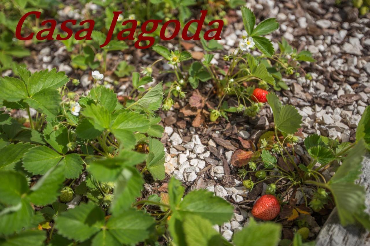 Casa Jagoda Višnjan Zewnętrze zdjęcie